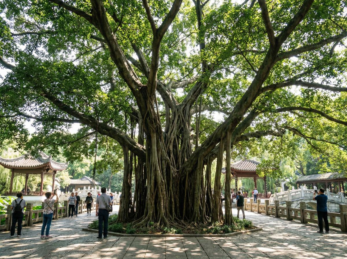 草莓视频社区顾问王雅琴